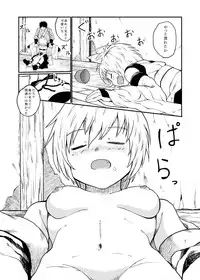 (Reitaisai 12) [Namida no Teinen Taishoku (Various)] 1919-CON 4th (Touhou project)