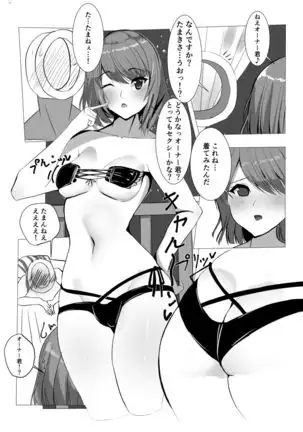 DOA no Tama-nee to Sex suru Ohanashi