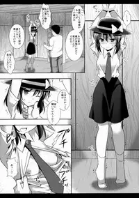 (C88) [Nagiyamasugi (Nagiyama)] Hifuu Ryoujoku 4 Renko Okusuri Jikken (Touhou Project)