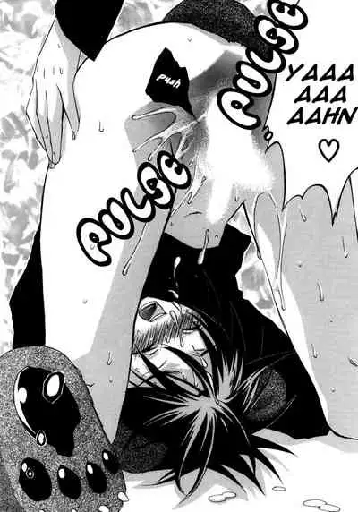 [Anthology] Puchi D VOL. 4 Kemonomimi [English] [DokiDoki]