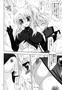 (C84) [PLUM (Kanna)] Wonderful Fox (Dog Days)