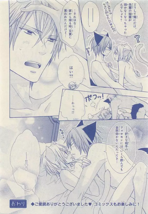 JUNK!BOY 2015 はるやすみ