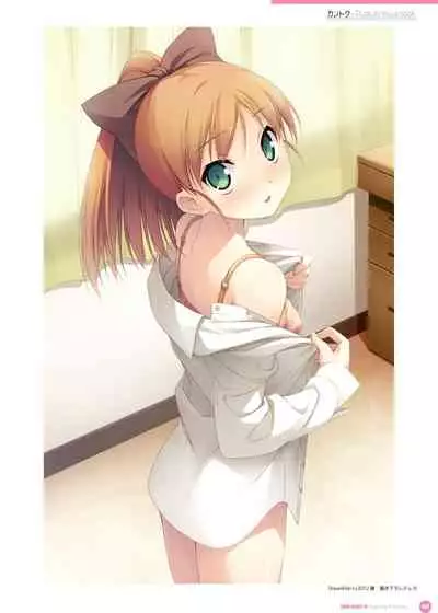 Kantoku Publicity Visual book