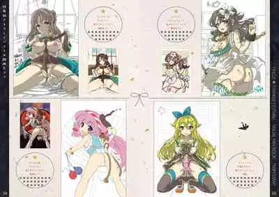 Tincle Twinkle Festival! Visual fan book "TINFESTAR!!"