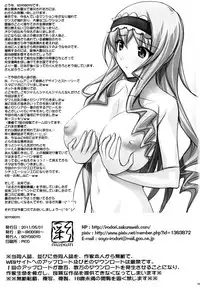 (COMIC1☆5) [IRODORI (SOYOSOYO)] H'I,S (Infinite Stratos)