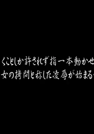 聖剣触手5~聖姫陥落~