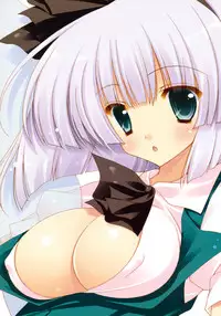 (Reitaisai 8) [Shigunyan] Meshiagare♥Myonpai (Touhou Project)