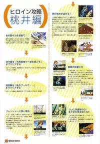 Maple Colors Fanside - Mediax Mook 238