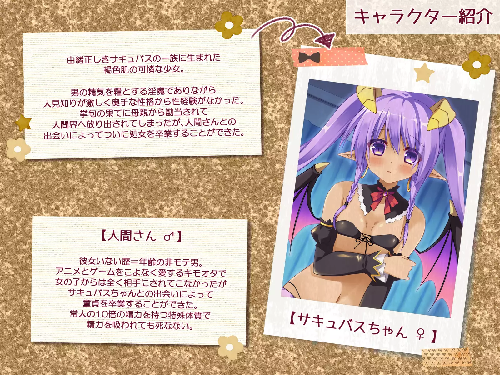 はじらいサキュバス3