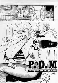 (C85) [Kocho Kocho Koukou (Bonten)] P.O.M (One Piece)
