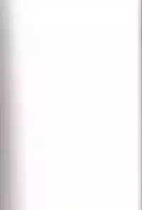 (SC49) [TTT, Night FUCKERS (Miharu, Mitsugi)] Hentai Fetish's 2 (Various)