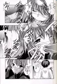 (C67) [Red Ribbon Revenger (Hayama, Makoushi)] Shouhou (Gundam Seed Destiny)