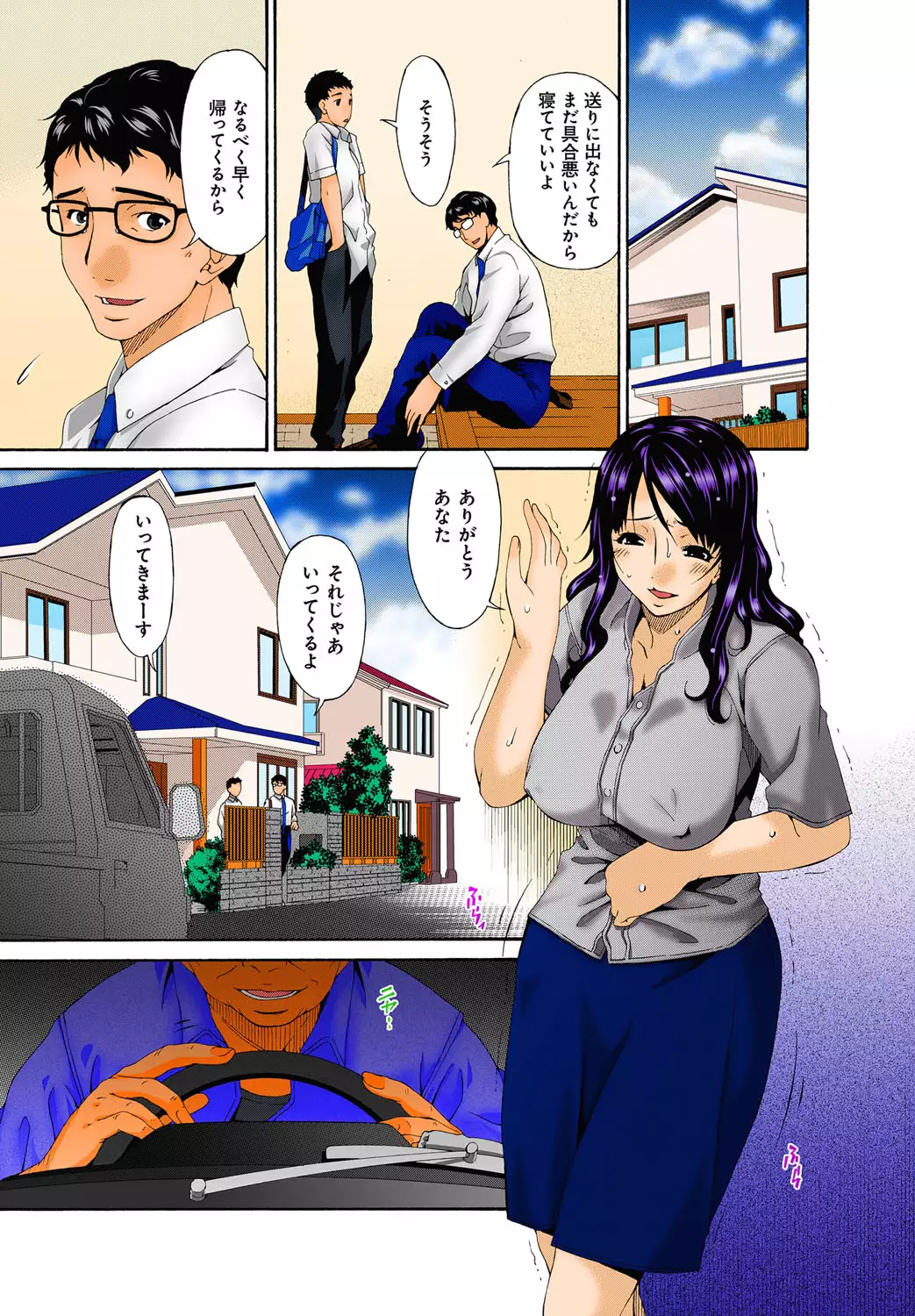 Hametorare full color