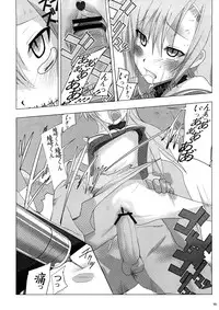 (C73) [Yuuhodou (Telemark)] Hinagiku Haji. (Hayate no Gotoku!)