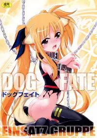 (C83) [EINSATZ GRUPPE (Charlie Nishinaka)] DOG FATE (Mahou Shoujo Lyrical Nanoha)