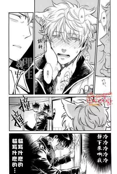 (HaruCC19) [3745HOUSE (MIkami Takeru)] Like cat and dog (Gintama) [Chinese] [糖分漢化組]