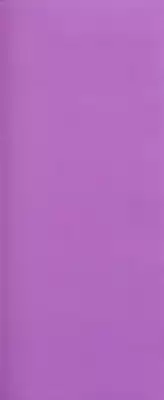 [Shimamoto Kaoru] Kinshinkyoai