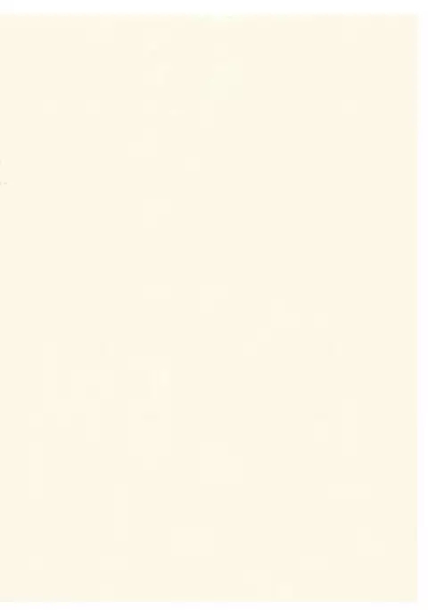 Bakumama o Ijimeru Rakugaki Copybon