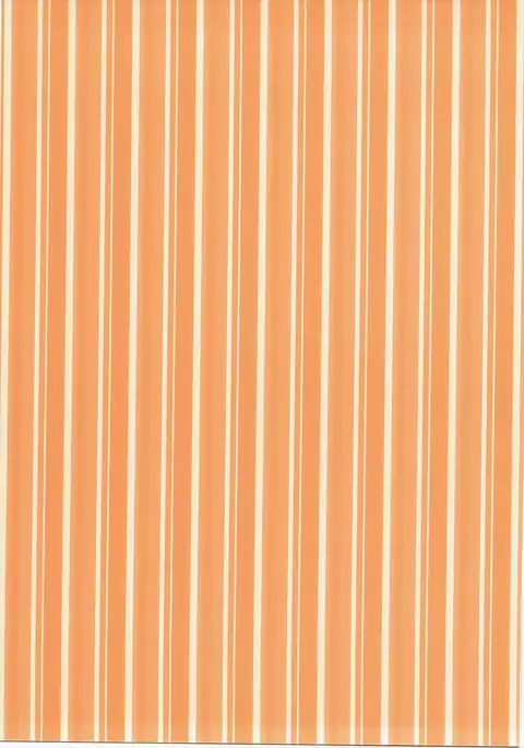 Kashima-san no Warspite Sentai Kensa