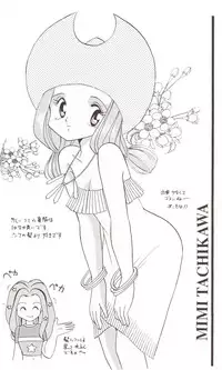 (C58) [Studio TAMO (Daikyojin)] Sora Mimi Hour (Digimon Adventure)