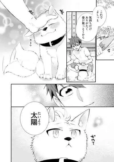 Wolves and Erotic Things