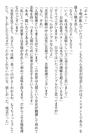 年上メイドの新婚日記