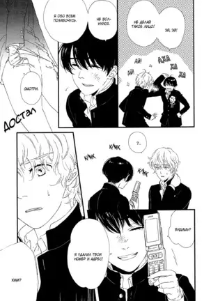 The Daydreamer Falls in Love