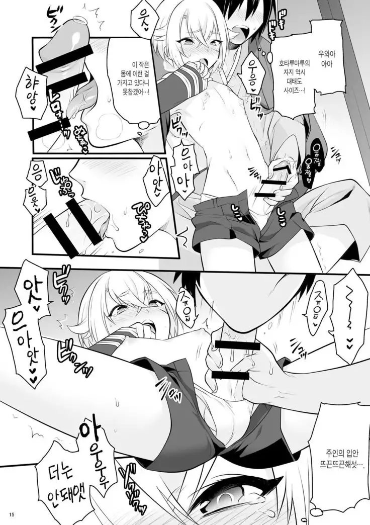 Hajimete no Hotarumaru