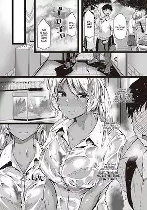 Kurumi joucho | Walnut Emotion