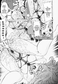 [D.P] Poko to Wonderful [English] [SaHa]