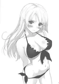 (C81) [T2 ART WORKS (Tony)] PUELLA 1