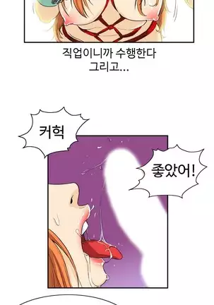 Chauffeur Service Ch.1-30.5