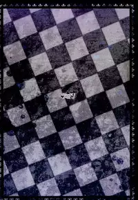 (Reitaisai 11) [Uminari (Narumi)] Wakatteru yo ne Daichan? (Touhou Project)