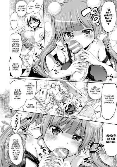 Hachi no Ue no Flower | Potted Flower