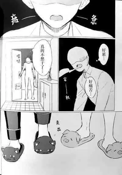 Neko no Iru Seikatsu | 有猫的生活