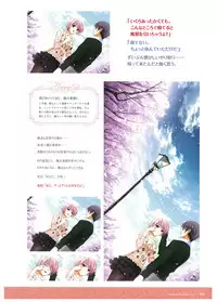 Walkure Romanze Visual Fan Book