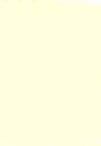 Dakara Tokyo Shounen na wake