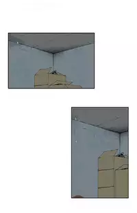 私生,爱到疯狂 完结