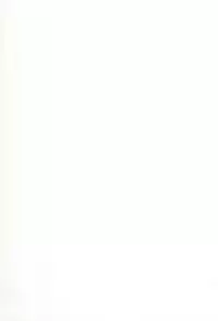 [Buzz Buzz (Himenogi Apo)] Kousoku Tsuushin Release Candidate 2 [Digital]