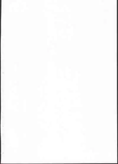 Yancha Musume no Shitsukekata