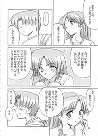 (C61) [Knights (Kishi Nisen)] Final Journey (Sentimental Graffiti)