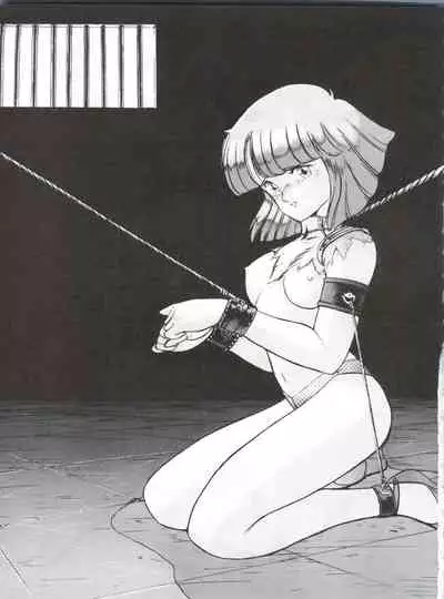 Toppatsu Yamaizuki Bishoujo Hon Kaizokuban