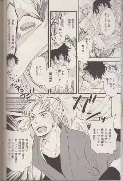 REMIX 02 2009‐2011