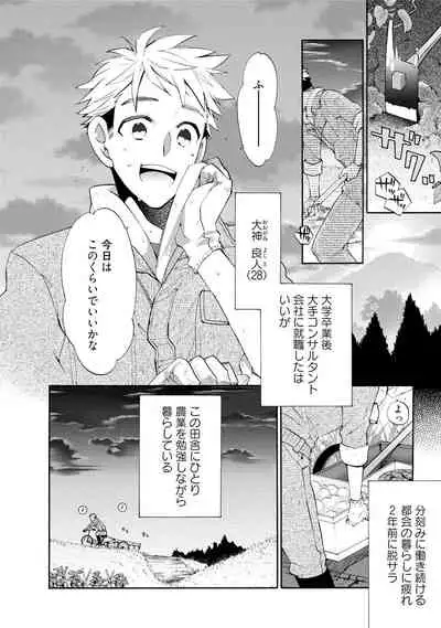 Wolves and Erotic Things