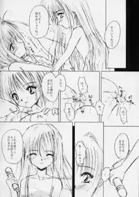 [R-SPIRITS] SPLENDID FLOWER GARDEN (Card Captor Sakura)