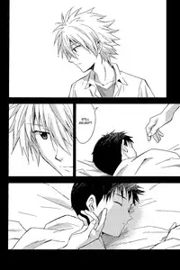 (C84) [cassino (Magarikoji Lily)] ENDLIGHT (Neon Genesis Evangelion) [English] [spluuuuurt]