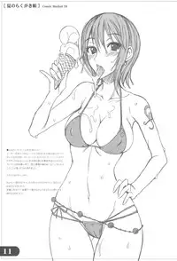 (C76) [Majimeya (isao)] Natsu no Rakugakichou (Neon Genesis Evangelion, One Piece)