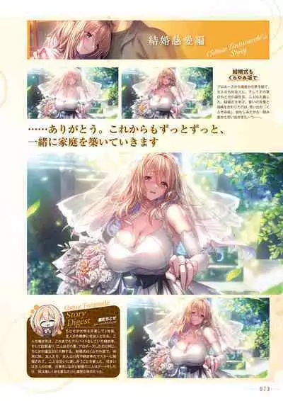 Amakano 2+ Visual Fan Book