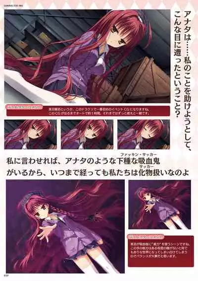 DRACU-RIOT! Official Visual Fan Book