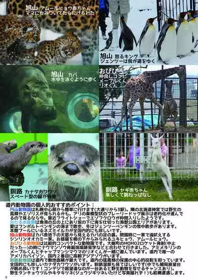 may Kemono Friends Thre Goudoushi 2